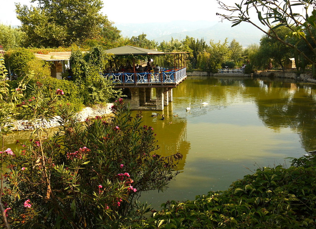 The Mill  Natural and Organic Club